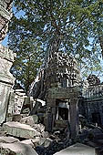 Ta Prohm temple - ruins of the central sanctuary 